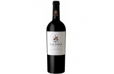 Cicónia Reserva 2015 Red Wine