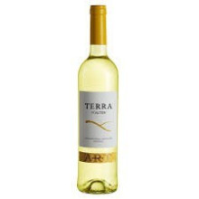 Terra D'Alter Arinto 2012 valkoviini