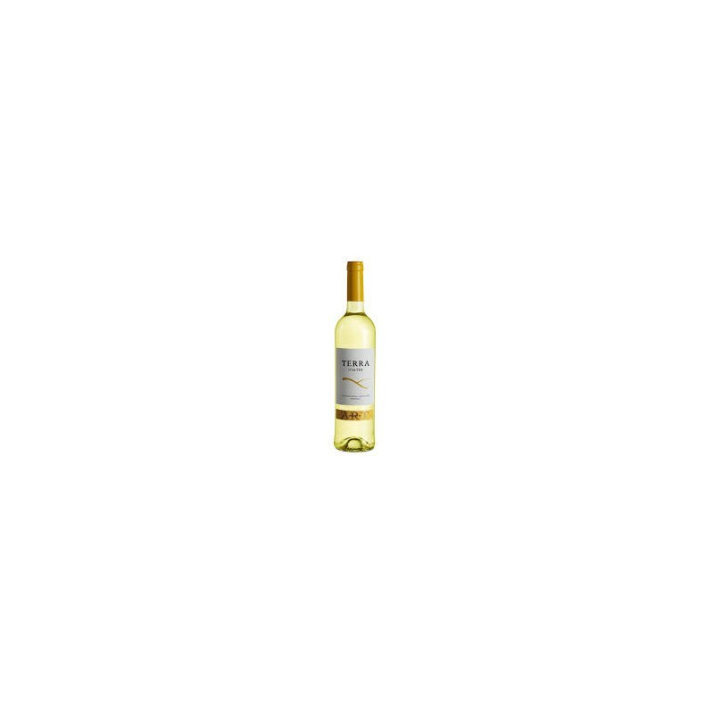 Terra D'Alter Arinto 2012 Vin Blanc Terra D'Alter Arinto 2012 Vin Blanc