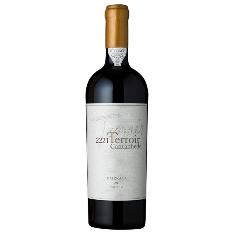 Terroir Cantanhede "2221" 2011 Vino Rosso Terroir Cantanhede "2221" 2011 Vino Rosso