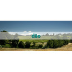 Vinos Dão - Regiones Vitivinícolas