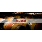 Mascate - Vin Moscatel du Portugal