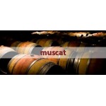Muscat-Wines Portugal