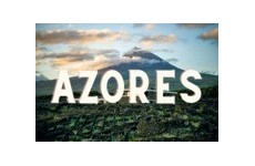 Azores Wine