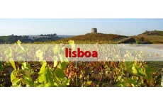 Lisbon Wines