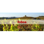Wijnen uit Lissabon