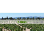 Explore Beiras Wines