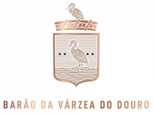 Barão da Várzea do Douro